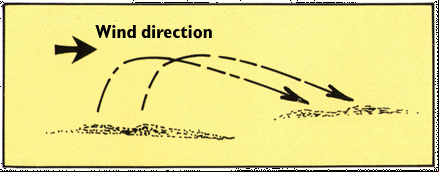 Diagram illustrating how saltation works