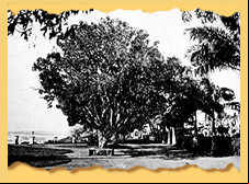 eio Público - 1875