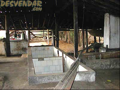 Fazenda do Juquita - Pimenta - Minas Gerais